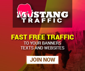 300x250 Banner Ad